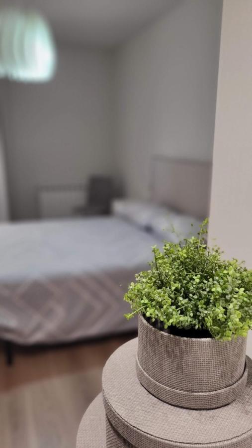 Apartamento Palacio De Los Toledo Corella Exteriér fotografie